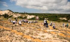 Menyusuri Jejak Hijau Pesisir: Ketika Akhir Pekan Menjadi Aksi Nyata Konservasi Mangrove