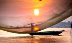 Menikmati Kelezatan Seafood Nusantara Tanpa Mengorbankan Masa Depan Ekosistem Laut Indonesia