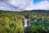 Pemandangan udara bentangan hutan hujan tropis Nusantara yang rimbun dan hijau, menjadi benteng utama penyerapan karbon dan pilar keseimbangan ekosistem global.