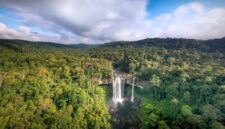 Pemandangan udara bentangan hutan hujan tropis Nusantara yang rimbun dan hijau, menjadi benteng utama penyerapan karbon dan pilar keseimbangan ekosistem global.