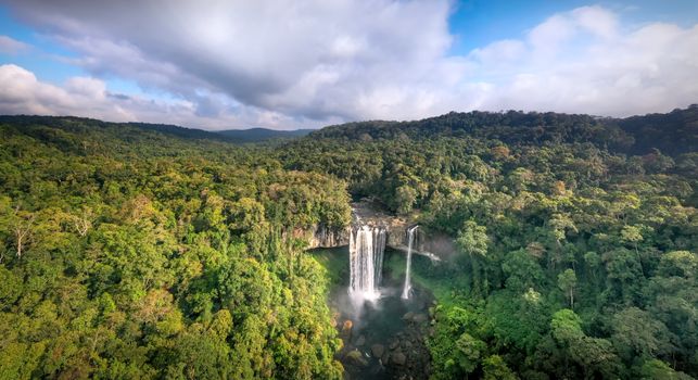 Pemandangan udara bentangan hutan hujan tropis Nusantara yang rimbun dan hijau, menjadi benteng utama penyerapan karbon dan pilar keseimbangan ekosistem global.