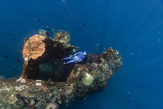 Seorang penyelam sedang mengamati proses pertumbuhan fragmen terumbu karang hasil transplantasi di kawasan konservasi perairan Indonesia. Tindakan kecil ini menjadi salah satu pilar utama dalam memulihkan ekosistem bawah laut yang kian terancam.