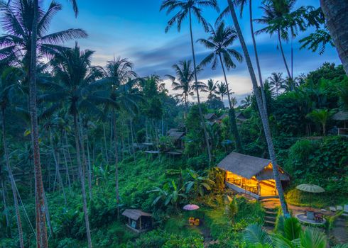 Masyarakat lokal beraktivitas di sekitar kawasan hutan konservasi yang terjaga asri, memadukan upaya perlindungan alam dengan pemanfaatan hasil hutan non-kayu untuk kesejahteraan bersama.
