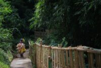 Warga masyarakat adat sedang merawat lahan pertanian tradisional secara gotong royong dengan menerapkan prinsip kelestarian alam yang diwariskan turun-temurun.