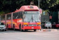 Warga kota memanfaatkan armada bus listrik dan ruang terbuka hijau yang kian terintegrasi sebagai dampak positif dari penerapan kebijakan iklim nasional di sektor transportasi publik.