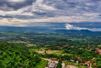 Pemandangan udara yang memperlihatkan batasan tegas antara hutan hujan tropis yang masih asri dengan lahan terdegradasi di pedalaman Indonesia. Foto ini menggambarkan urgensi perlindungan kanopi hijau dari ancaman perambahan secara terus-menerus.