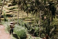 Seorang petani swadaya sedang memanen buah tandan segar kelapa sawit yang telah memenuhi standar budi daya ramah lingkungan di Sumatra.