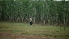 Deretan jembatan kayu yang membelah kawasan konservasi hutan bakau menjadi jalur favorit wisatawan untuk menikmati kesegaran alam sekaligus mempelajari ekosistem pesisir.